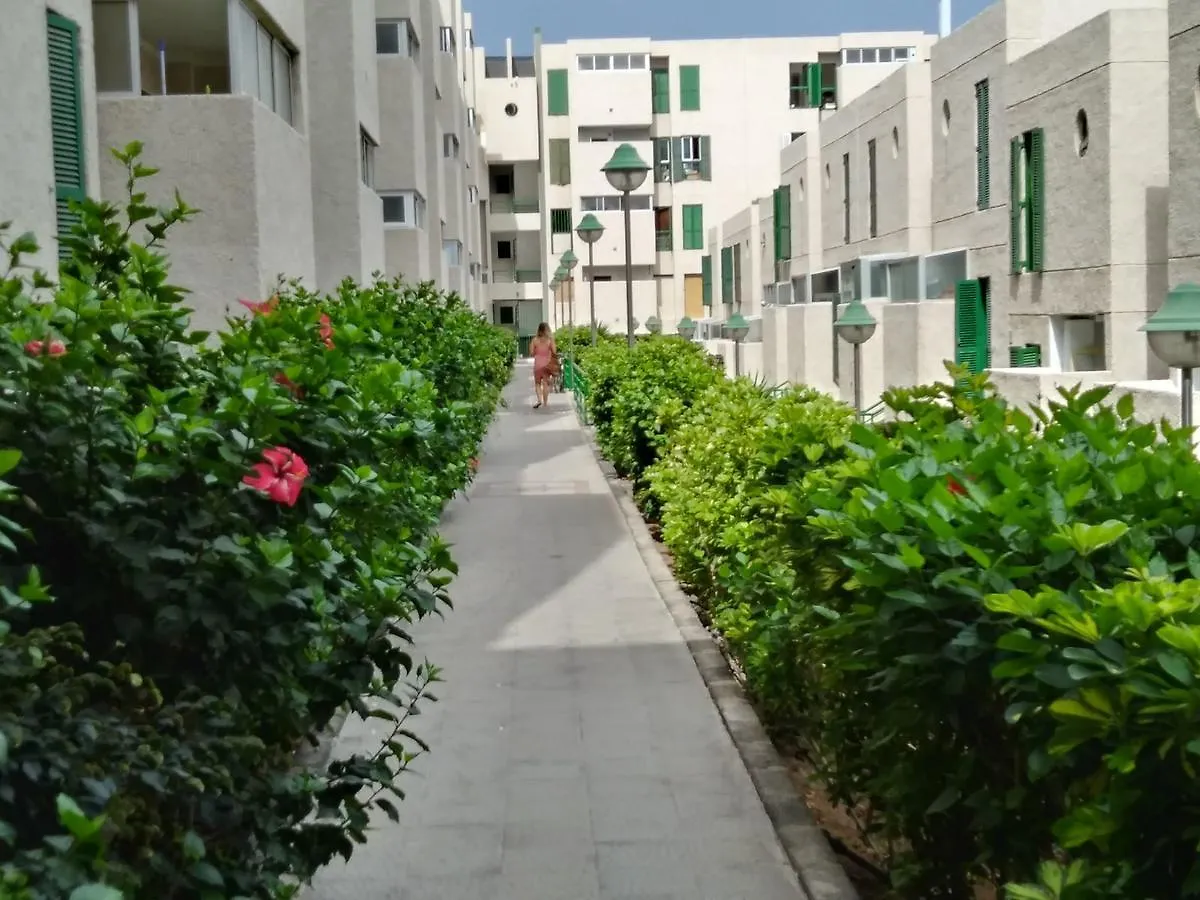 Apartamento Playa Las Americas Hotel Playa de las Americas  Holiday home Playa de las Americas (Tenerife)